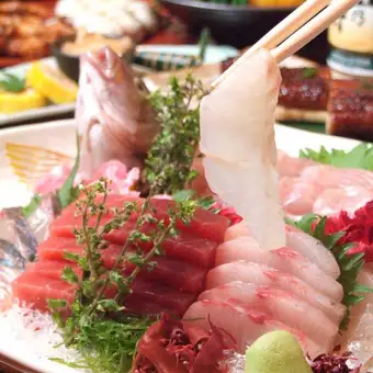 飲み会や歓迎会に【天然魚の姿造りコース 】飲み放題付きの全9品でコスパ抜群!¥6,000(税込)