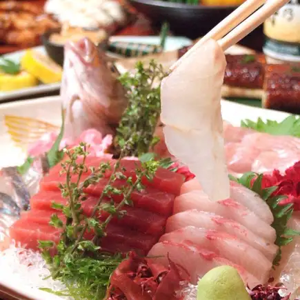 飲み会や歓迎会に【天然魚の姿造りコース 】飲み放題付きの全9品でコスパ抜群！￥6,000(税込)