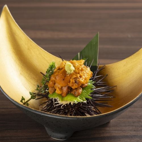 Sea urchin sashimi