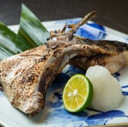 Salt-grilled yellowtail collar