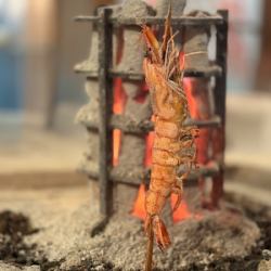 Extra large [headed shrimp] grilled with salt