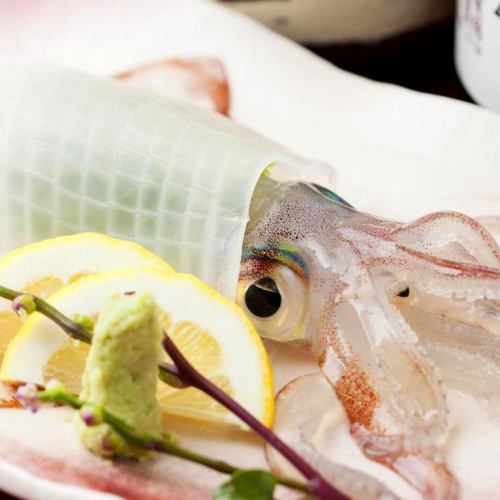 Enjoy fresh live squid!