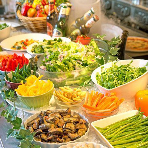 【ランチ】満腹ランチ！サラダバー、ピザ食べ放題あり☆
