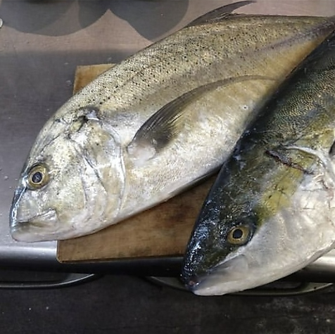 店長が自ら釣った新鮮な海鮮もお料理としてお出しします！