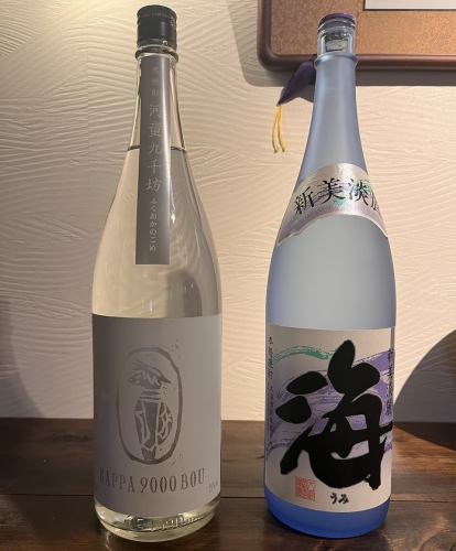 【新しく入荷した焼酎のご紹介】河童九千坊(かっぱきゅうせんぼう)/海
