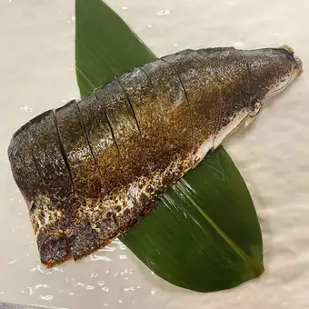 炙り〆鯖