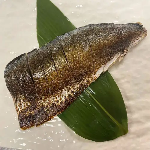 炙り〆鯖