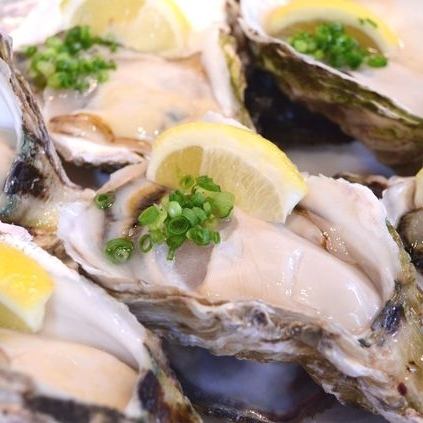 Assorted large oysters (5 pieces) [2,180 yen]