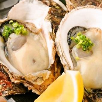 Steamed oysters
