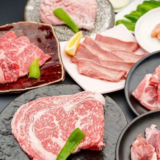 1/13より【平日限定 時間無制限食べ&飲み放題コース】時間無制限 食飲放題/お一人様6600円