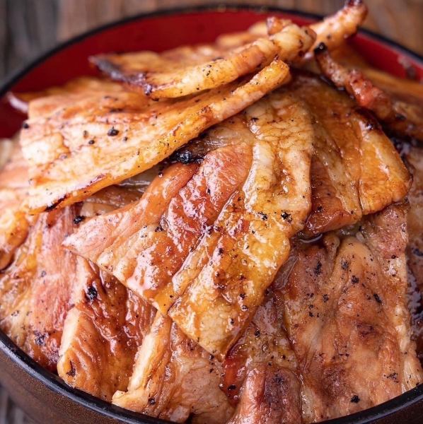 十勝帯広発祥 帯広豚丼