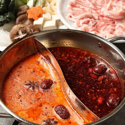 選べるコース料理