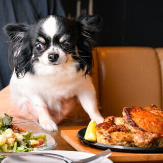 愛犬と一緒にほっと一息