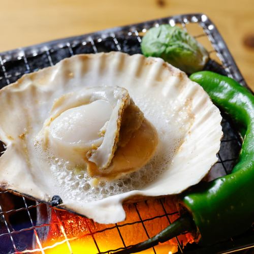Shelled scallop (1 piece)