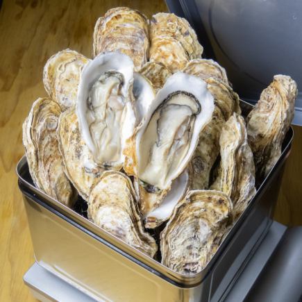 【겨울 한정】 뿌릿! 맛도 몸도 연주!