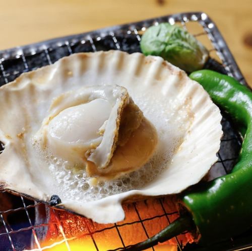 去壳扇贝