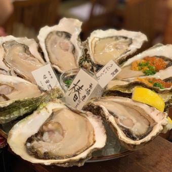 生牡蠣、焼き蒸し牡蠣、カキフライ食べ放題&飲み放題付き！