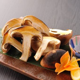 Oversized log shiitake mushrooms with rock salt