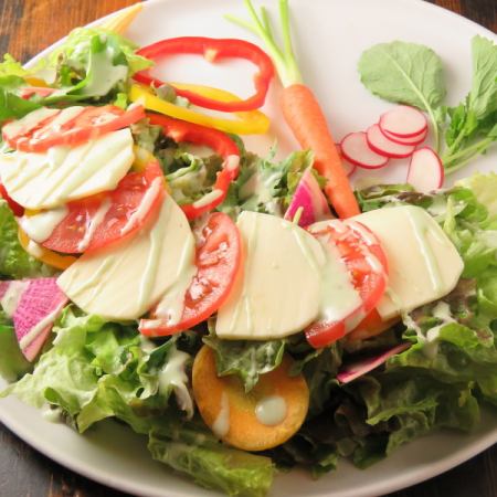 Tomato and mozzarella basil cheese salad