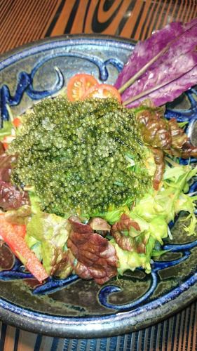 島野菜と海ぶどうのサラダ