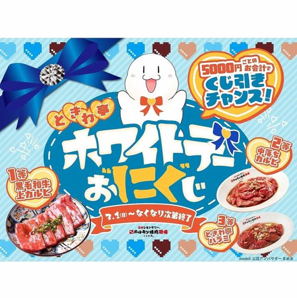 From Tokiwatei with love! "White Day Meat Lottery Campaign"