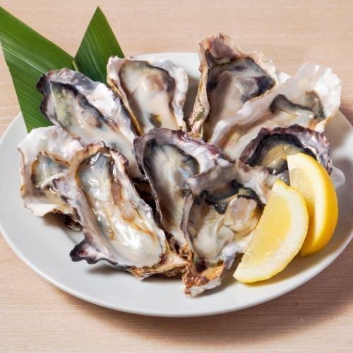 生牡蠣・牡蠣フライ