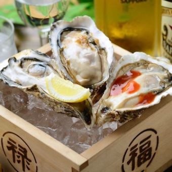 Toramaru Suisan Oysters (November-May) (July-October Iwao Oysters)