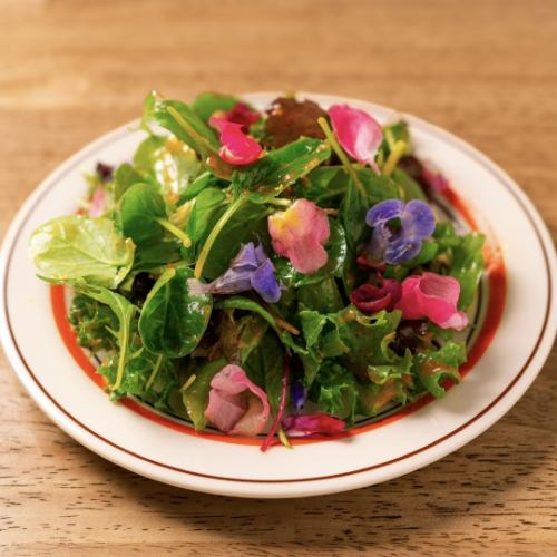 グリーンサラダ