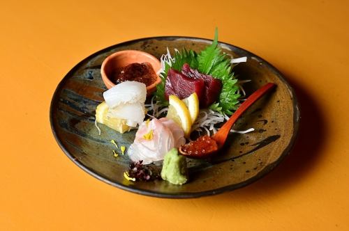 とれたての旬魚を楽しめる