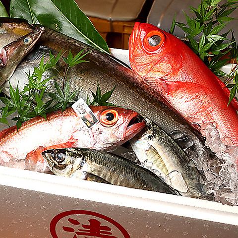 新鮮な海鮮を毎日仕入れ、最高の状態でご提供しています。