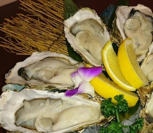 仙堂名物！ 産地直送　厚岸産生牡蠣★
