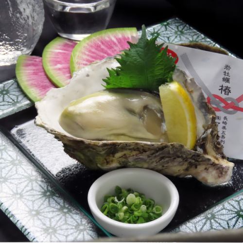 Nagasaki rock oysters