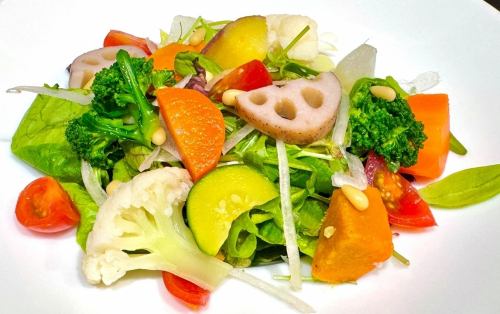 夏野菜サラダ