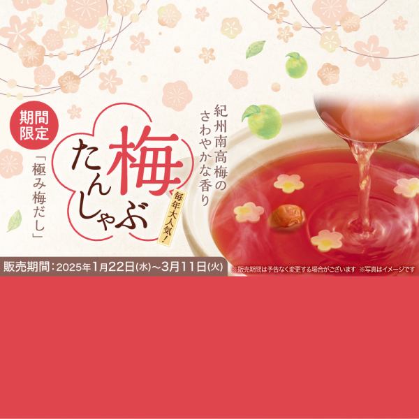 [Limited time offer: all-you-can-eat] "Ume Tan Shabu Course" from 4,158 yen (tax included)