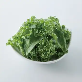 Salad kale