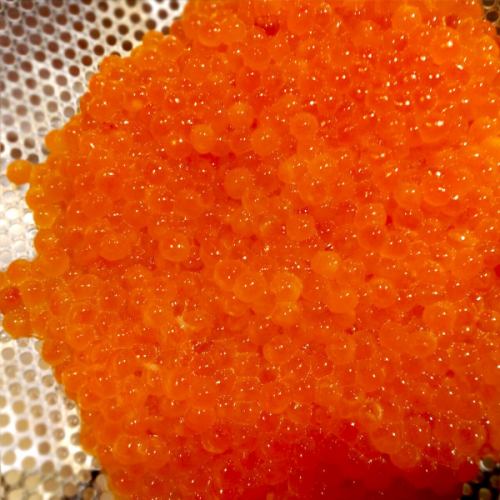 自家製の筋子（イクラの醤油漬け）を仕込み中です。

鯛めしやはなび福島本店は日々、お客様にご満足いただけるよう丁寧に、手間暇を惜しまずお料理をご用意しております。

ご来店の際は、丹精を込めて仕上げたお料理をぜひご堪能くださいませ。

ランチコース、ディナータイムのご予約は随時受付中となりますので、プロフィールのリンクをご確認のほどよろしくお願いいたします。→@taimeshiyahanabi_honten

：：：：：：：：：：：：：：：：：：：
ランチ……月～金曜日 11:30～13:30
ディナー…月～土曜日 17:30～23:00
定休日……日曜日、祝日

※料理の数に限りがありますため、売り切れ次第閉店となります。
※時期によって営業日が変更となる場合がございます。
：：：：：：：：：：：：：：：：：：：

#鯛めし #鯛めしやはなび #大阪グルメ #関西グルメ #福島グルメ #大阪ランチ #ランチ #大阪ディナー #ディナー #福島居酒屋 #大阪居酒屋 #居酒屋 #和食 #osaka #fukushimaku #japanesefood #izakaya #コース #筋子 #いくら #すじこ #筋子ほぐし