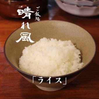 ライス（中）