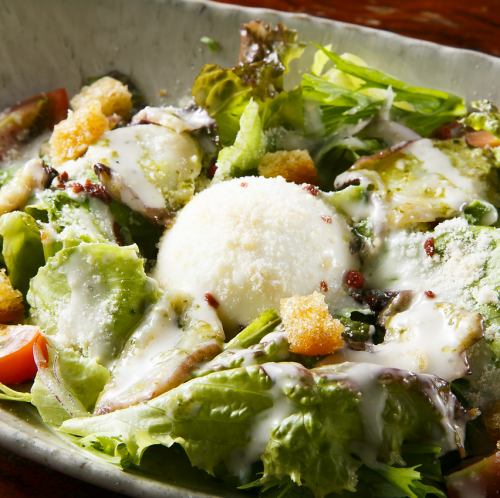 真ダコと半熟玉子のシーザーサラダ