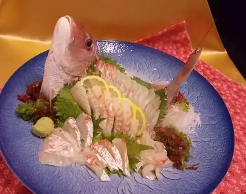 天草雅的鯛魚介紹