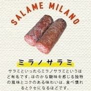 Milan salami