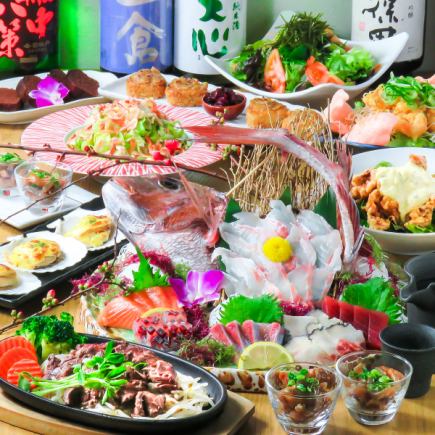 <This is the perfect party plan> 11 dishes in total, including assorted fresh fish sashimi and seasonal delicacies! 120 minutes with all-you-can-drink for 5,000 yen