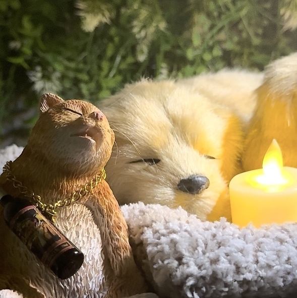 【店内至る所に可愛いキャラクターたちが隠れてます☆】まるでおとぎ話の世界に紛れ込んだかのような世界観!!小人や可愛い動物たちが隠れてるので是非探してみてください♪栄/栄駅/飲み放題/カフェ/誕生日/個室/肉/女子会/貸切/二次会/ワイン