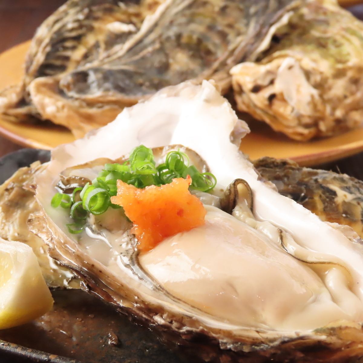 飲み放題もあり！おいしい牡蠣をはじめその他海鮮を楽しめる◎