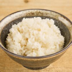 White rice