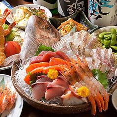 【宴会メニュー】自慢の魚料理を堪能いただけるコースは120分飲み放題付きで5000円からご用意◎