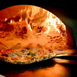 バンビーノ 単品