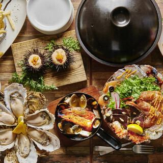 【春限定大人気コース！】魚魂カルパッチョや焼きうおを堪能！2ｈ飲み放題付き4990円！