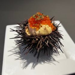 自家製うにぷりん