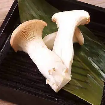 エリンギ茸