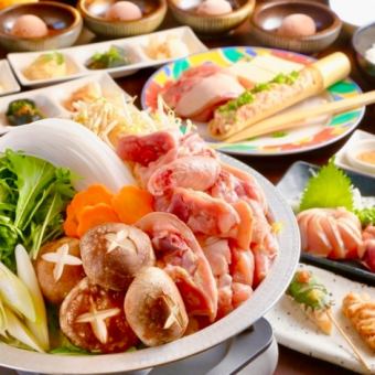 Click here for our proud mizutaki nabe ◆ Chicken hotpot course ◆ 6 dishes to choose from, including 90 minutes of all-you-can-drink included, for just 4,800 yen (tax included)!